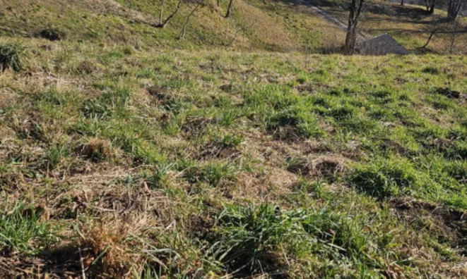 Недвижимость Участок, жилое строительство Слатна.: 6