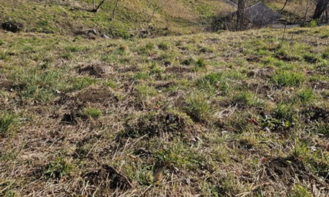 Недвижимость Участок, жилое строительство Слатна.: 7