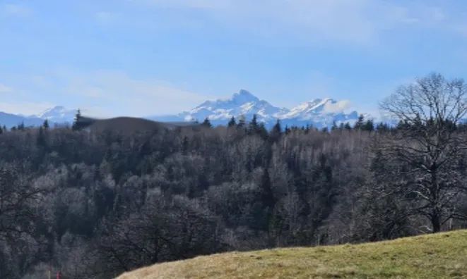 Недвижимость Участок, жилое строительство Слатна.: 17