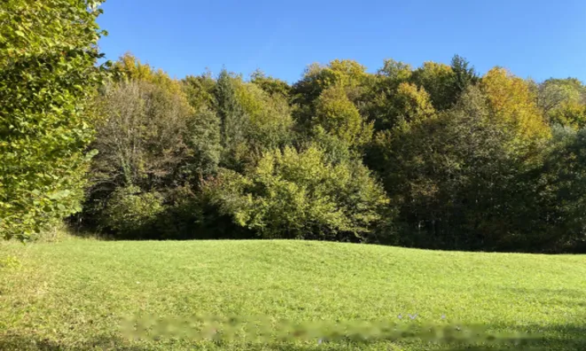 Недвижимость Участок, Сельхозземля Средняя Добрава: 8