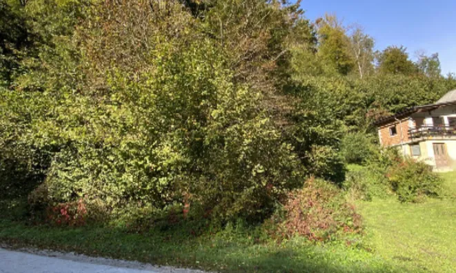 Недвижимость Участок, Сельхозземля Средняя Добрава: 9