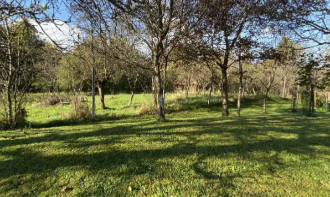 Недвижимость Участок, Сельхозземля Средняя Добрава: 12