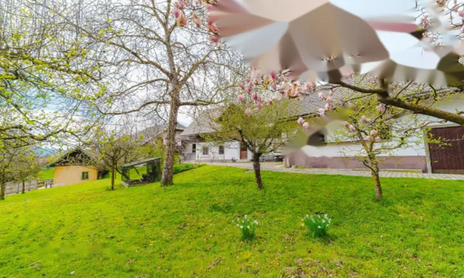 Недвижимость Земельный участок в Бегуне на Гореньске: 10