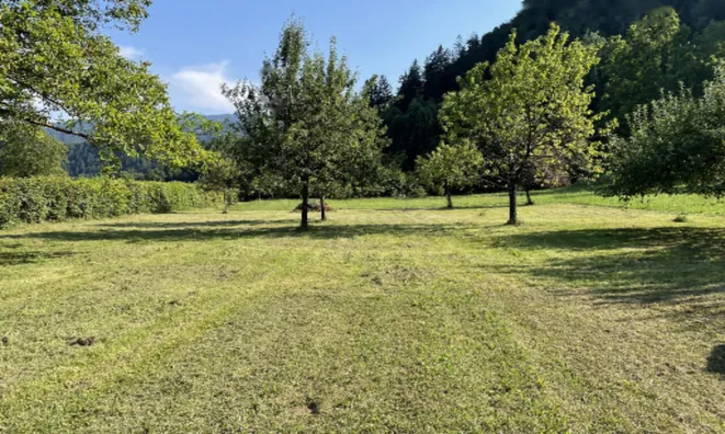 Недвижимость Участок, Сельскохозяйственная земля Блед: 3