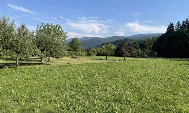 Недвижимость Участок, Сельскохозяйственная земля Блед: 4