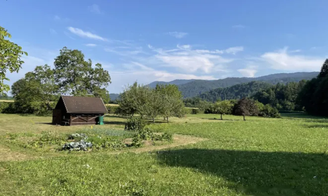 Недвижимость Участок, Сельскохозяйственная земля Блед: 6