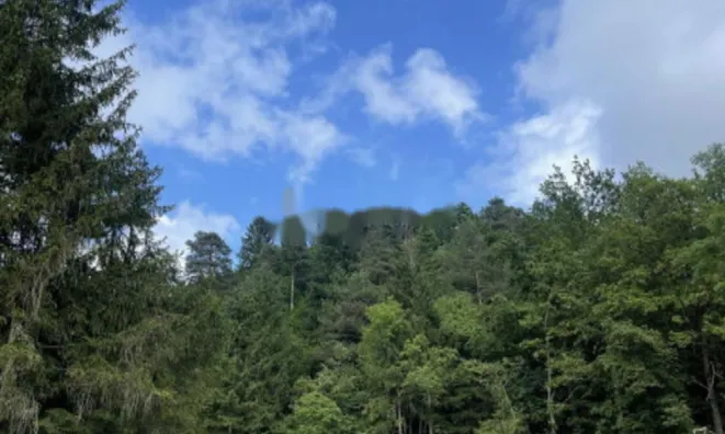 Недвижимость Участок, сельскохозяйственная земля Блед: 5