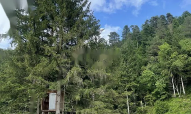 Недвижимость Участок, сельскохозяйственная земля Блед: 7