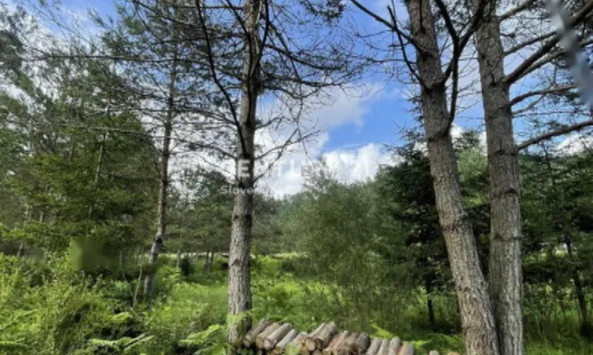 Недвижимость Участок, сельскохозяйственная земля Блед: 8