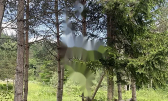 Недвижимость Участок, сельскохозяйственная земля Блед: 9