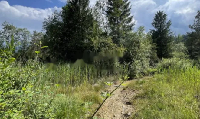 Недвижимость Участок, сельскохозяйственная земля Блед: 10