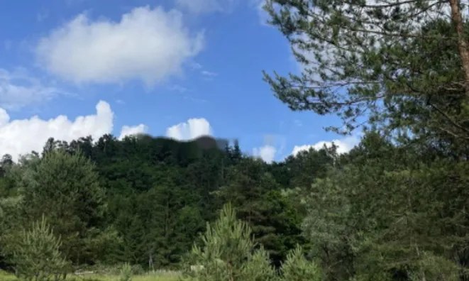 Недвижимость Участок, сельскохозяйственная земля Блед: 11