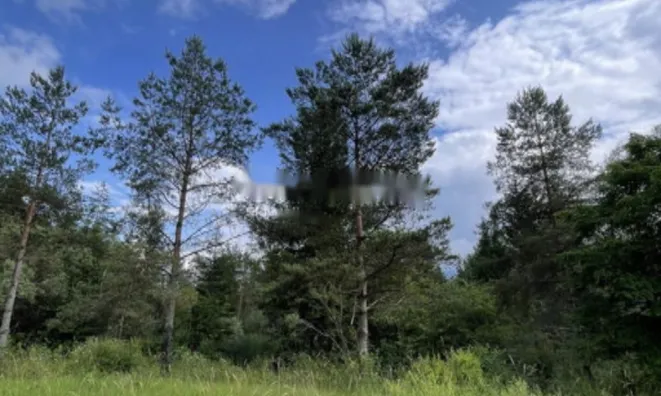 Недвижимость Участок, сельскохозяйственная земля Блед: 12