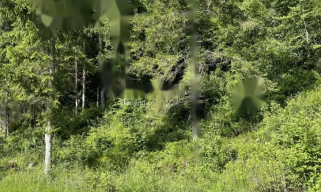 Недвижимость Участок, сельскохозяйственная земля Блед: 13