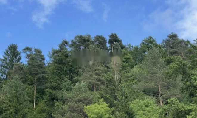 Недвижимость Участок, сельскохозяйственная земля Блед: 14