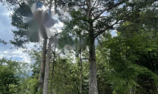 Недвижимость Участок, сельскохозяйственная земля Блед: 15