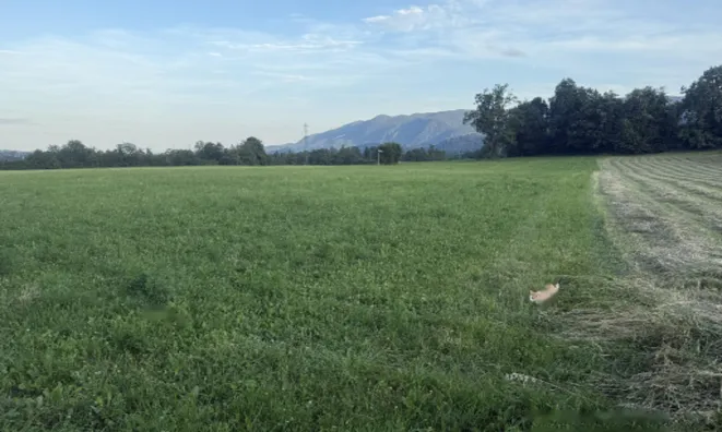 Недвижимость Участок для инвестиций Блед, Добы: 5