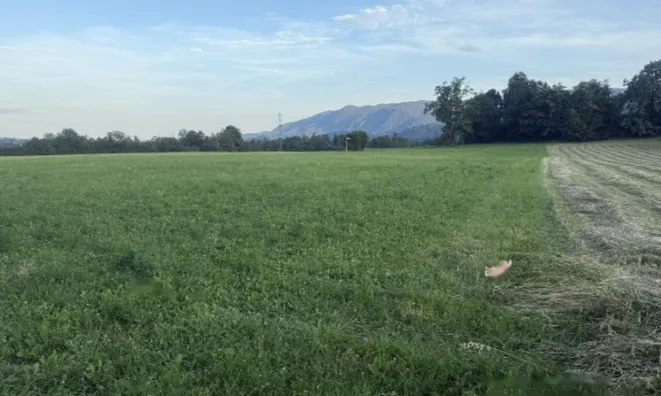 Недвижимость Участок для инвестиций близ Бледа, Добе: 6