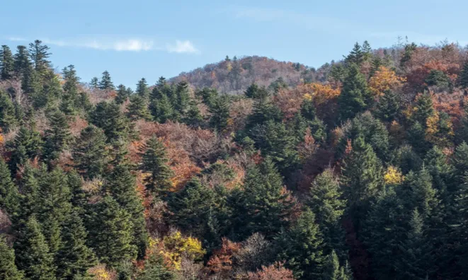 Недвижимость Участок, Сельскохозяйственные земли Брежье, Перачица: 1