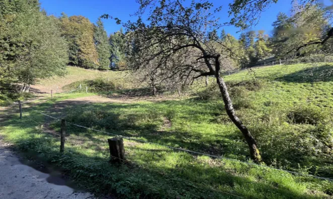 Недвижимость Участок, Сельхозземля Чешница при Кропи: 1