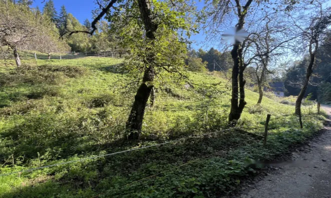 Недвижимость Участок, Сельхозземля Чешница при Кропи: 3