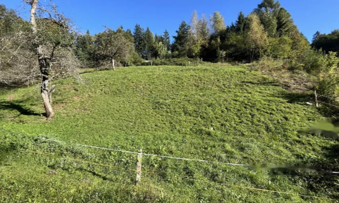 Недвижимость Участок, Сельхозземля Чешница при Кропи: 4
