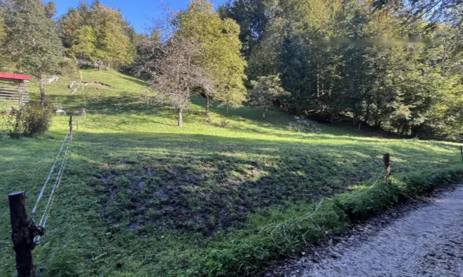 Недвижимость Участок, Сельхозземля Чешница при Кропи: 5