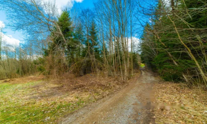 Недвижимость Земельный участок в Дворской Васи: 2