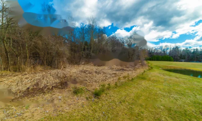 Недвижимость Земельный участок в Дворской Васи: 11