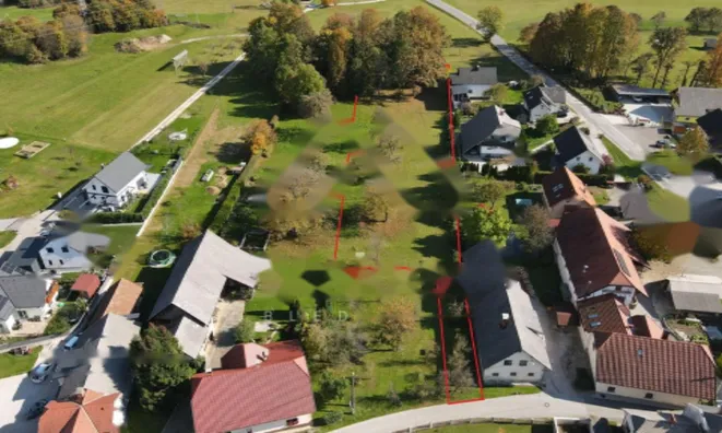 Недвижимость Земельный участок в деревне Хлебце: 6