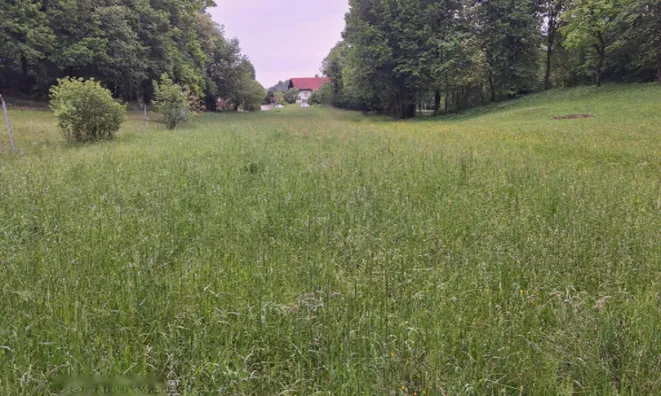 Недвижимость Земельный участок под сельское хозяйство в Хлебце: 2