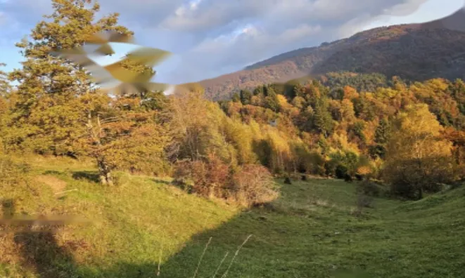 Недвижимость Усадьба, Сельскохозяйственная земля Вишельница: 3