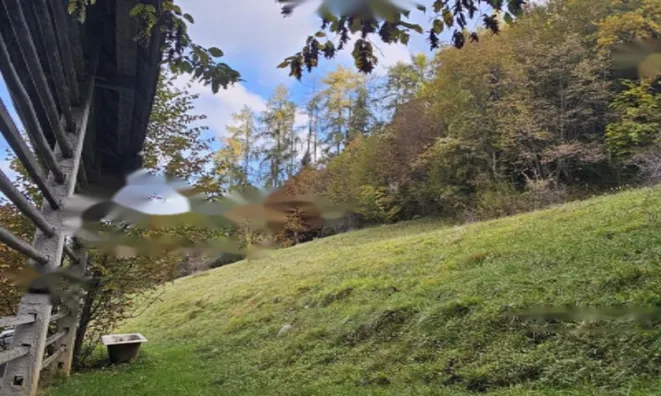 Недвижимость Усадьба, Сельскохозяйственная земля Вишельница: 5