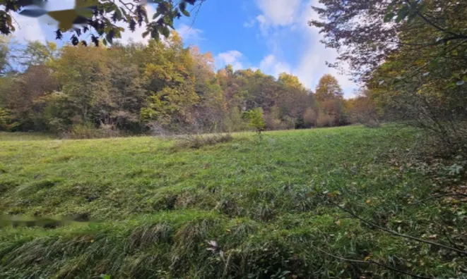 Недвижимость Усадьба, Сельскохозяйственная земля Вишельница: 7