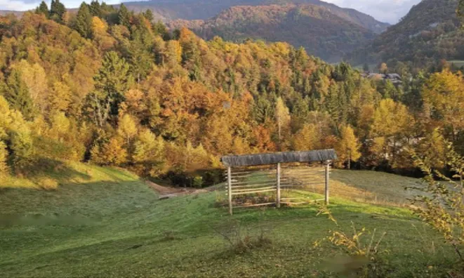 Недвижимость Усадьба, Сельскохозяйственная земля Вишельница: 8