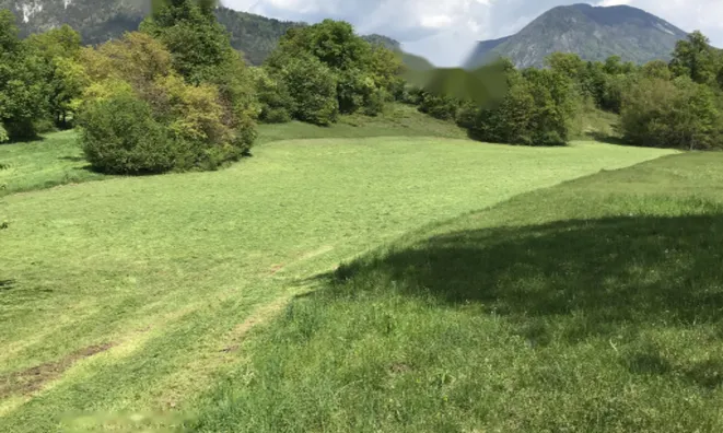 Недвижимость Участок, сельскохозяйственные земли Храше.: 4