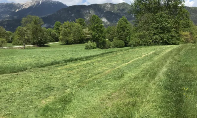 Недвижимость Участок, сельскохозяйственные земли Храше.: 5