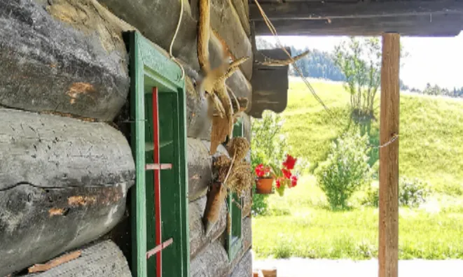 Недвижимость Поместье, ферма Копривник в Бохине, на солнечной стороне Альп: 9