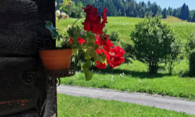 Недвижимость Поместье, ферма Копривник в Бохине, на солнечной стороне Альп: 10