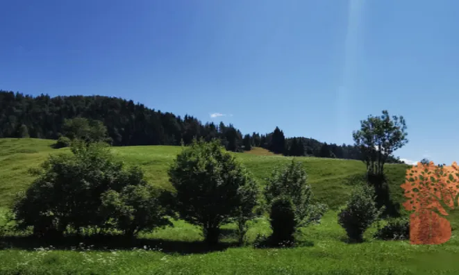 Недвижимость Поместье, ферма Копривник в Бохине, на солнечной стороне Альп: 11