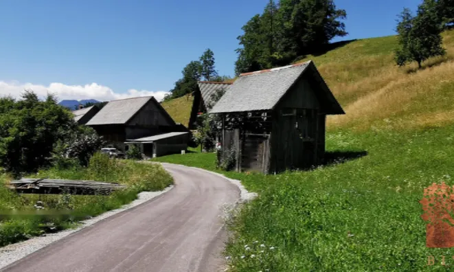 Недвижимость Поместье, ферма Копривник в Бохине, на солнечной стороне Альп: 13
