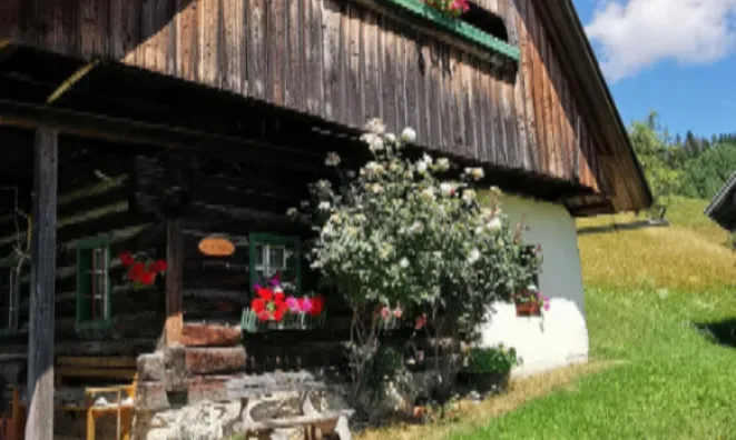 Недвижимость Поместье, ферма Копривник в Бохине, на солнечной стороне Альп: 15