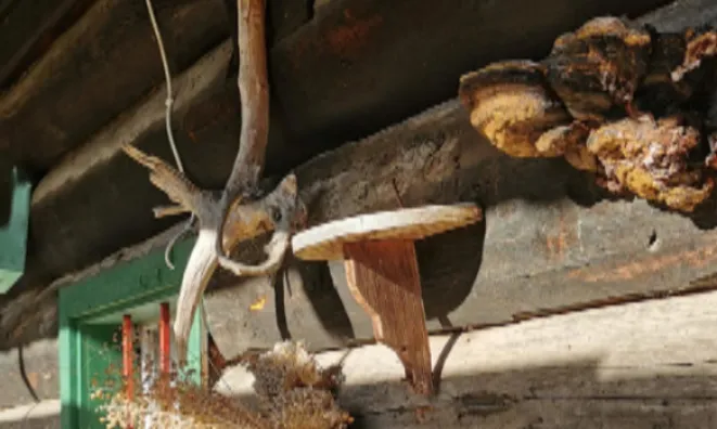 Недвижимость Поместье, ферма Копривник в Бохине, на солнечной стороне Альп: 17