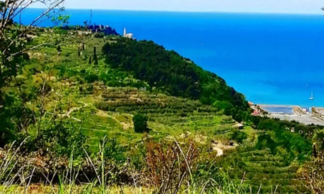 Недвижимость Дом, Изола: 4