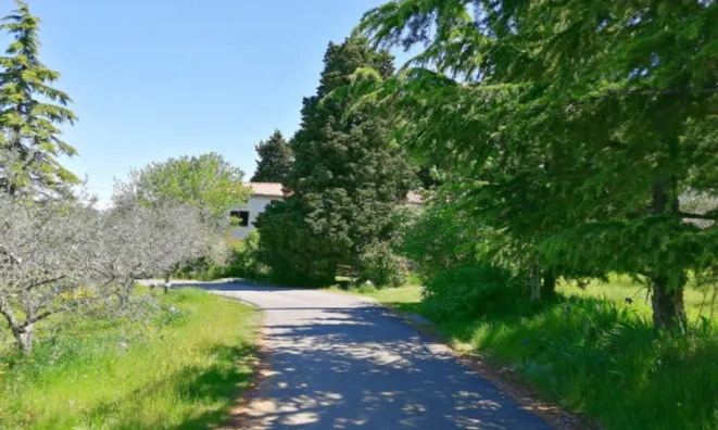 Недвижимость Дом, Изола: 5