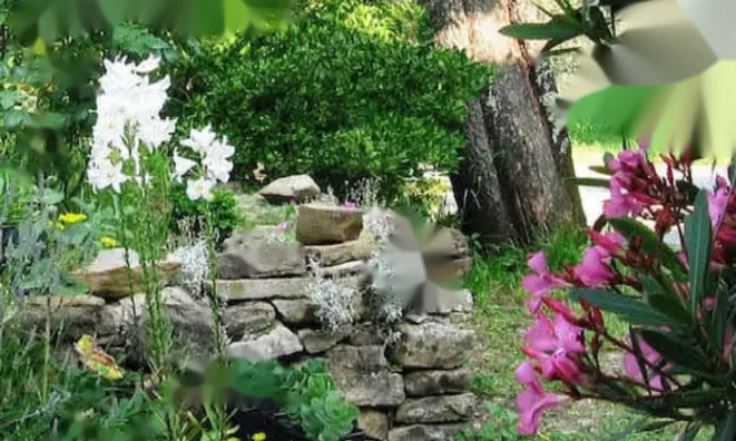 Недвижимость Дом, Изола: 9