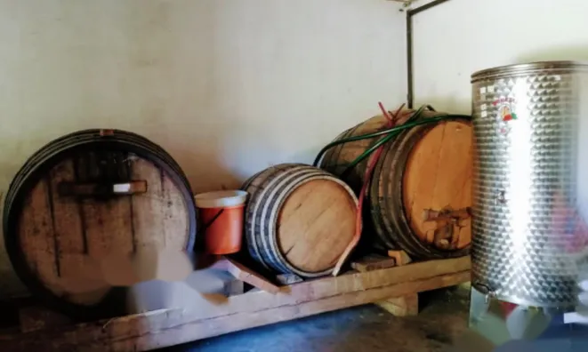 Недвижимость Дом, Изола: 13