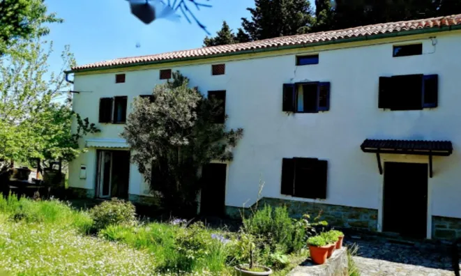 Недвижимость Дом, Изола: 15