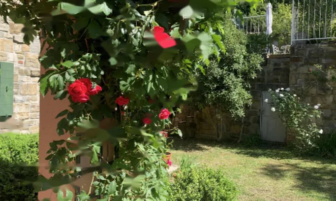 Недвижимость Дом с видом на море: 9