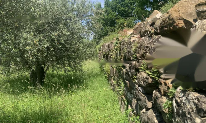 Недвижимость Дом с видом на море: 29